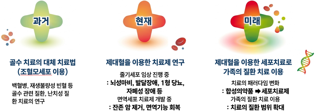 cbTrans-sc05-image-wrap